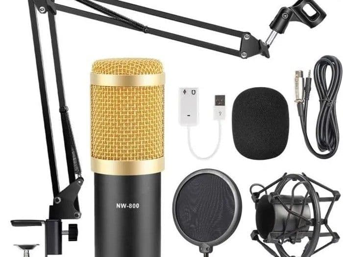 Microphone à Condensateur - ZGEER - NW-800 - Faible bruit - Rapport signal/bruit élevé - XLR